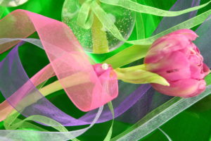 Organzabänder an Frischblumen